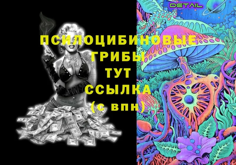 Галлюциногенные грибы Magic Shrooms  кракен вход  Малаховка 